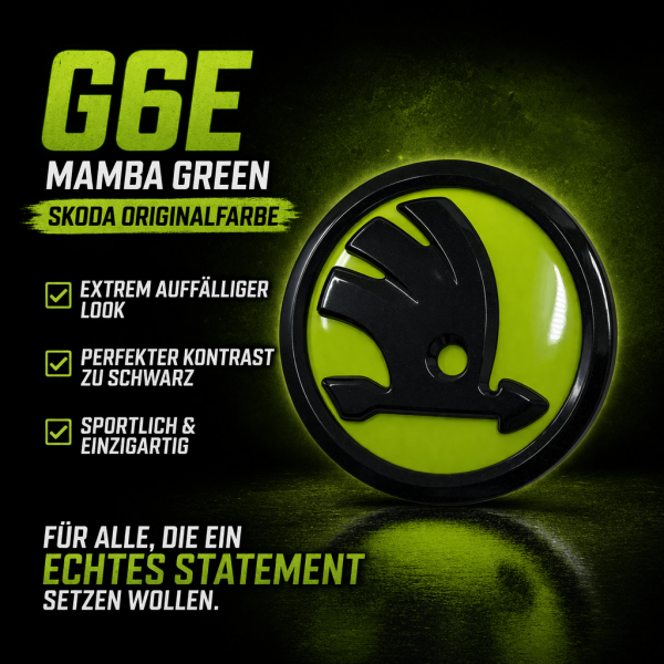 G6E